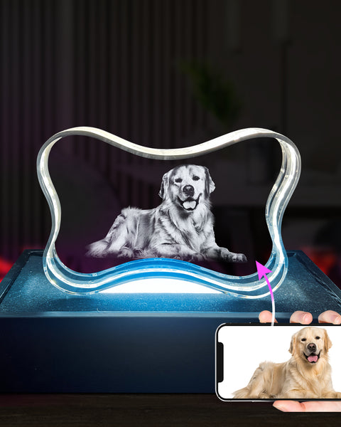 Hueso de perro de cristal 3D (horizontal)