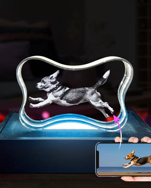 Osso de cristal para cachorro (horizontal) Modelo 3D