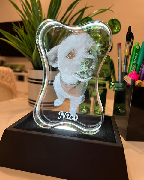 Osso de cristal para cachorro (vertical) Modelo 3D